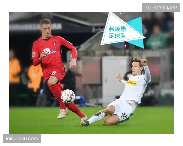 弗赖堡对阵波鸿现场,球迷用巨型TIFO纪念俱乐部成立120周年 弗赖堡对阵波鸿现场,球迷用巨型TIFO纪念俱乐部成立120周年